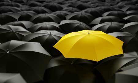 How to Build a Profitable Freelance Career