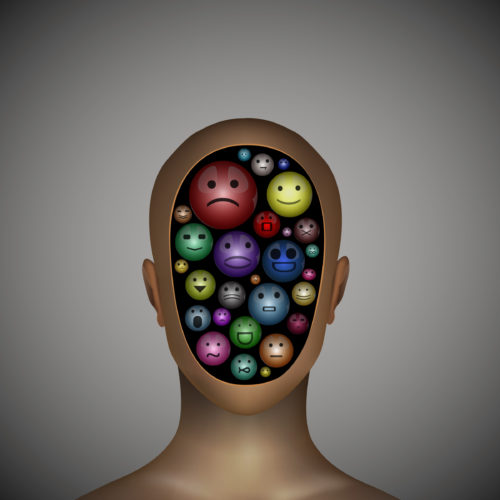 How to Optimize Your Google My Business Profile